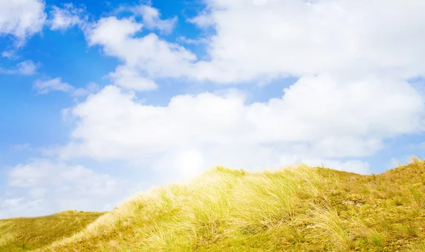 Idylliska sanddyner med solljus — Stockfoto