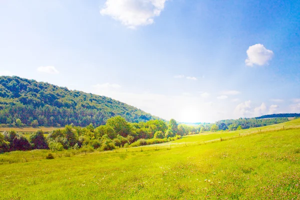 Idylliska gräsmatta med solljus på sommaren — Stockfoto