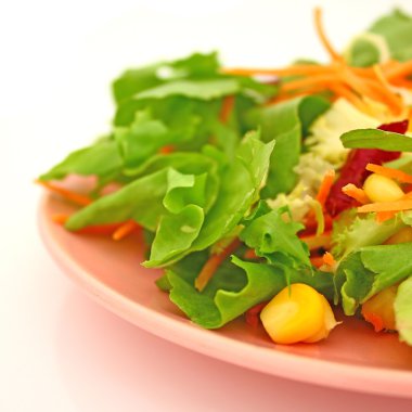 Salad clipart