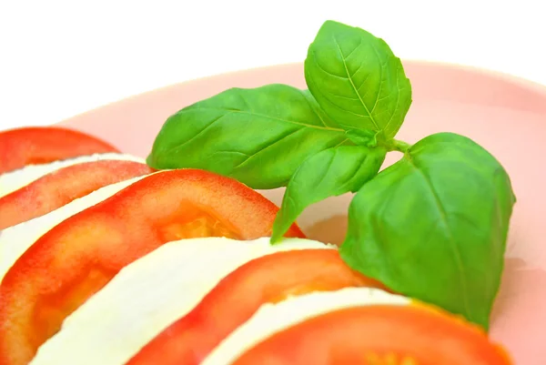 Ντομάτα μοτσαρέλα — Φωτογραφία Αρχείου