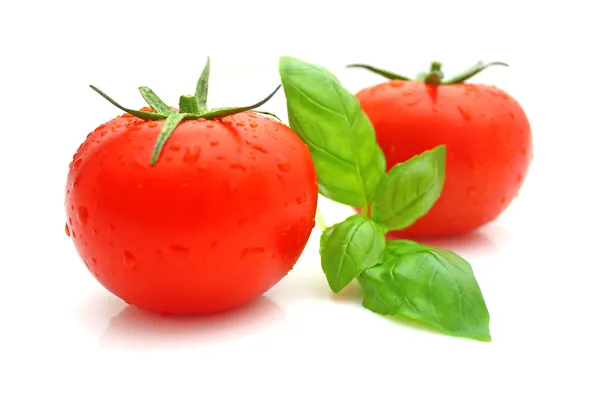 Tomaten-Basilikum Stockfoto