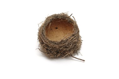 Empty nest clipart