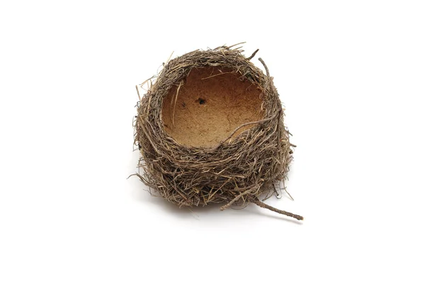 Пустое гнездо Стоковое Фото