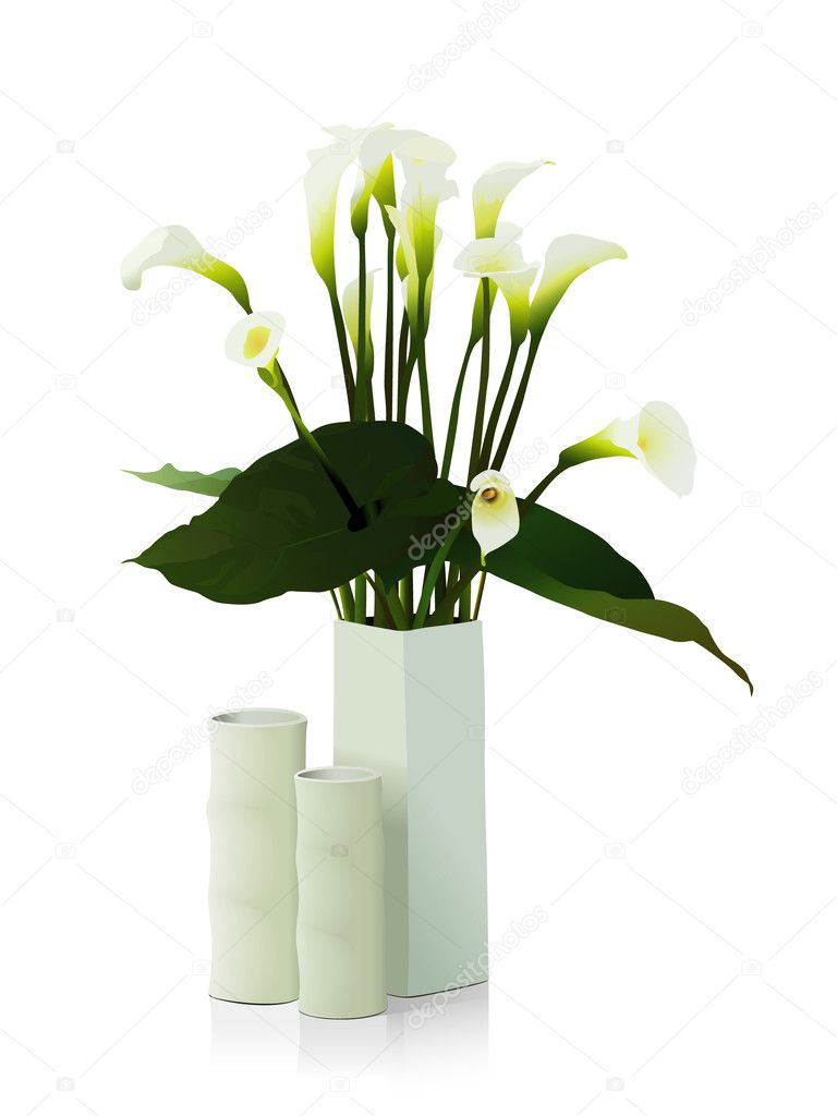 Vector illustration of vase with flowers