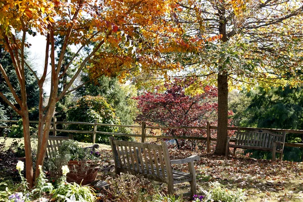 Bahçe ahşap banklar.