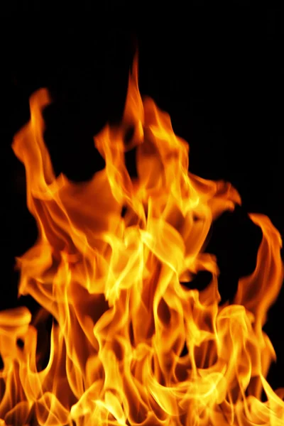 Dansende vlammen Stockfoto