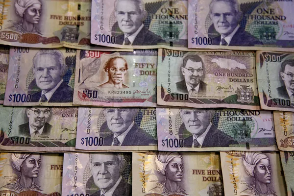 Jamaican money — Stock Photo, Image