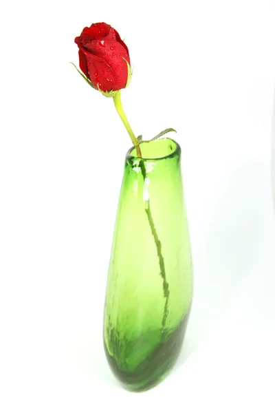Una rosa rossa in un vaso verde — Foto Stock