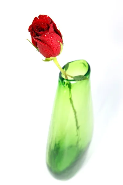 绿色花瓶里的一朵红玫瑰 — 图库照片