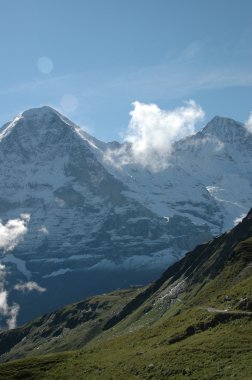 Eiger meadows