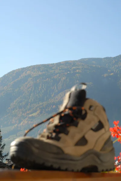 stock image Hiking shoe