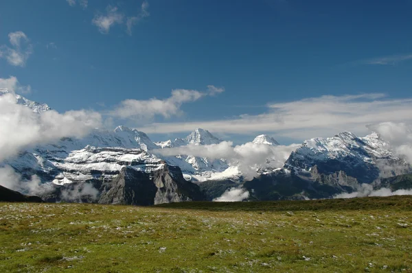 Alpesi rétek — Stock Fotó