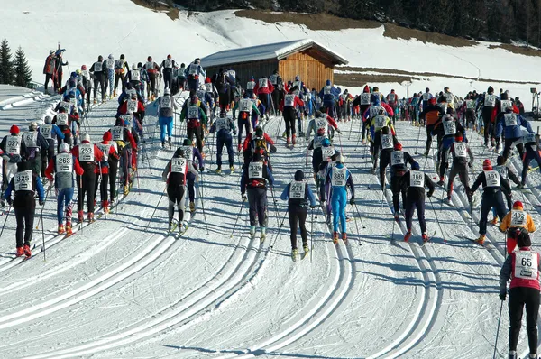 Groupe de ski de fond — Photo