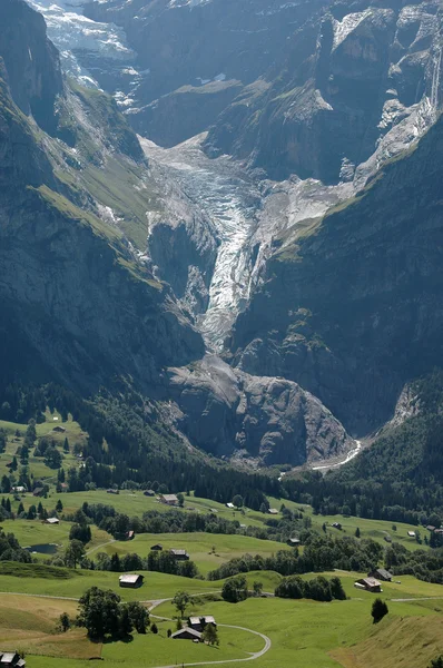 Valley of grindelwald — Stock Photo, Image
