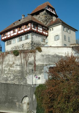 Castle Frauenfeld clipart