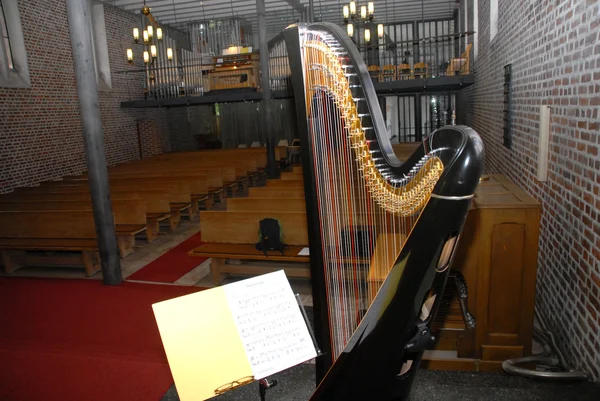 Harpa. — Fotografia de Stock