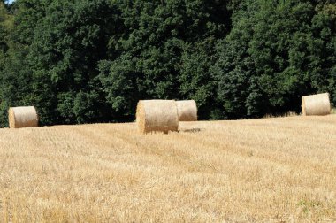 Haybales