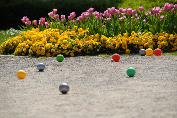 stock image Flowers and balls