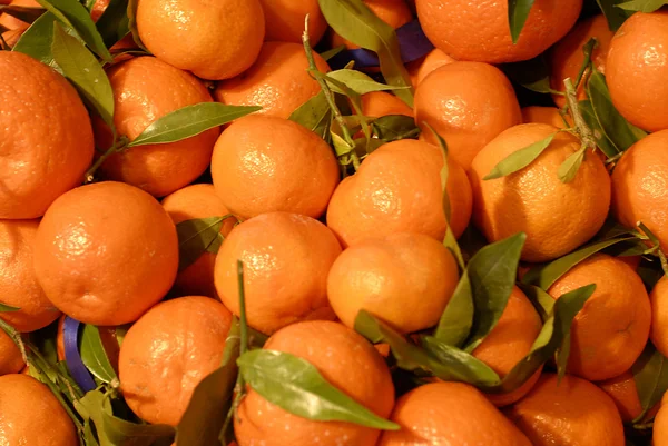 Fyllig apelsiner — Stockfoto