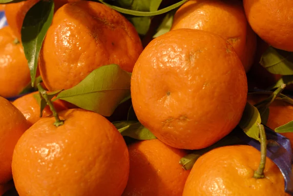 Friska apelsiner — Stockfoto