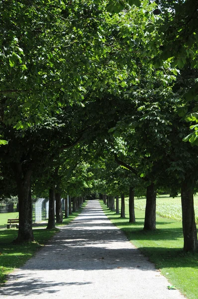 stock image Parkway