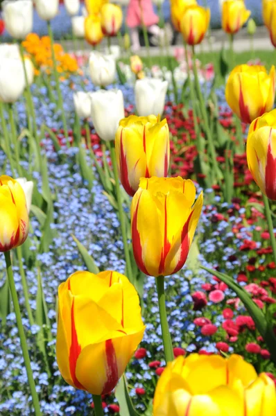 Colores de primavera Fotos De Stock