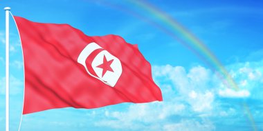 Tunisia flag clipart