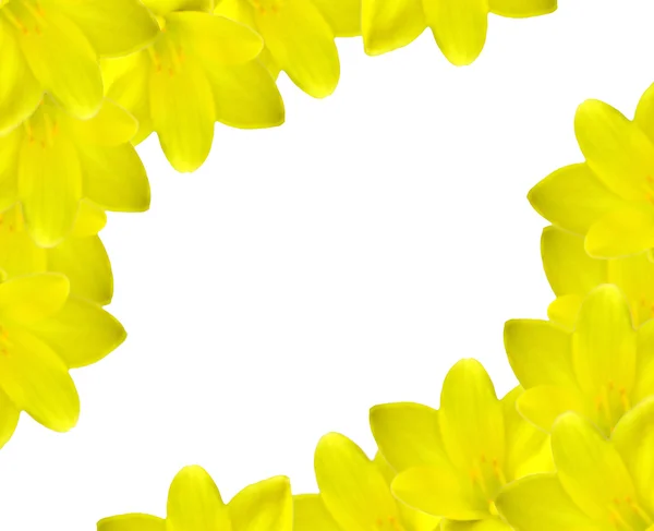 Fundo de croco amarelo Imagem De Stock