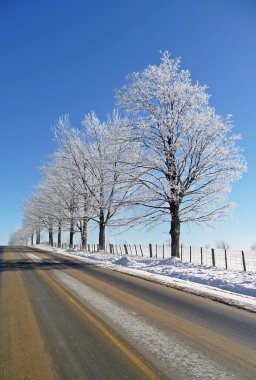 Hoar frost covered trees and rural road clipart