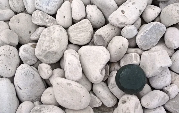 한 돌 서 — 스톡 사진