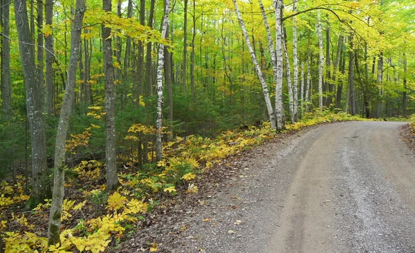 Осенняя гравийная дорога — стоковое фото