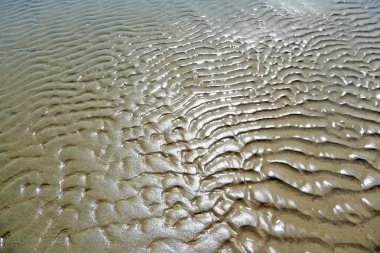 Abstract sunlit and wet sand ripples clipart