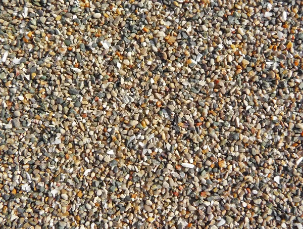 Colorido praia seixos fundo — Fotografia de Stock