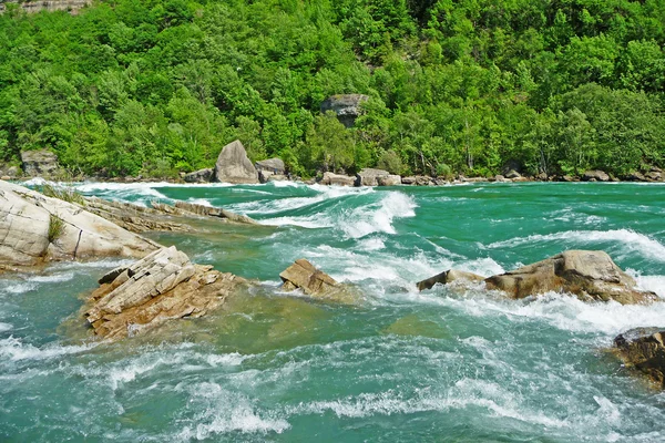 나이 아가라 강 급류 로열티 프리 스톡 사진