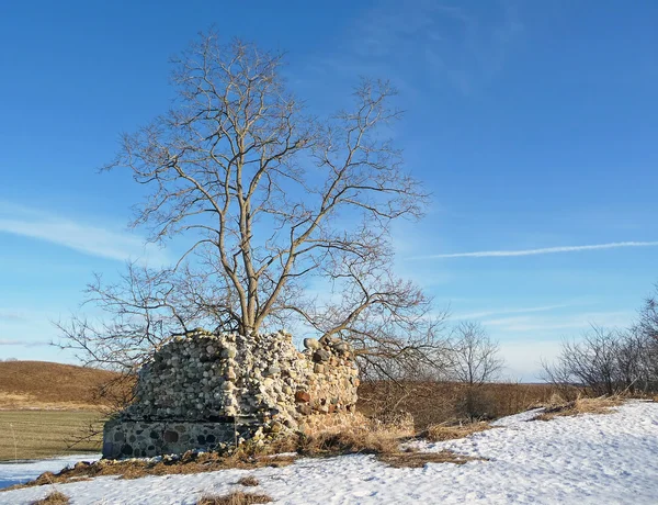 Bauernscheunenruine mit Baum — Stockfoto
