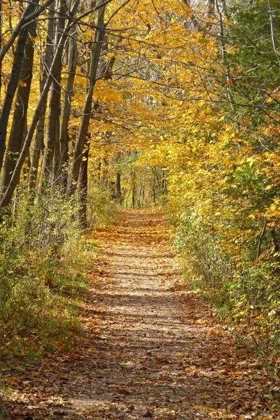 Jalur hiking musim gugur — Stok Foto