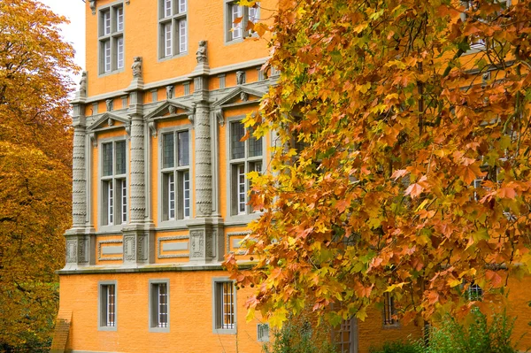 Pałac i autumn odchodzi Zdjęcie Stockowe