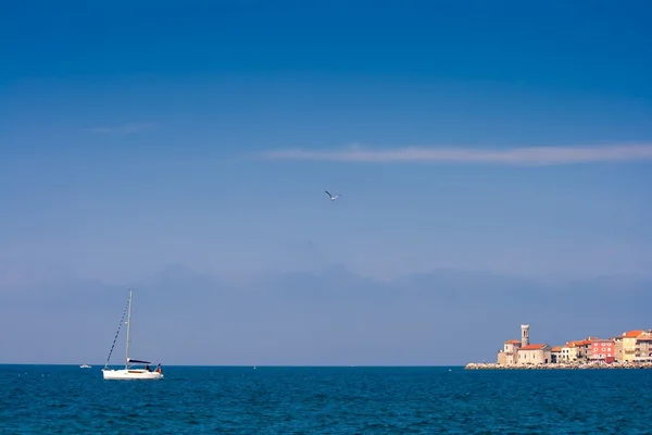 Boot segelt hinaus aufs Meer — Stockfoto