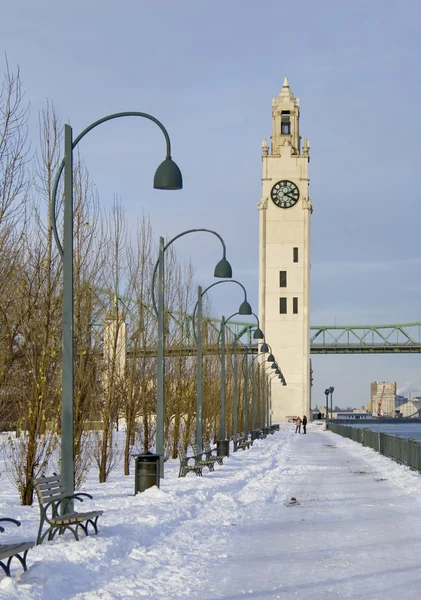 Winter Park Uhr Turm Schnee montreal — Stockfoto