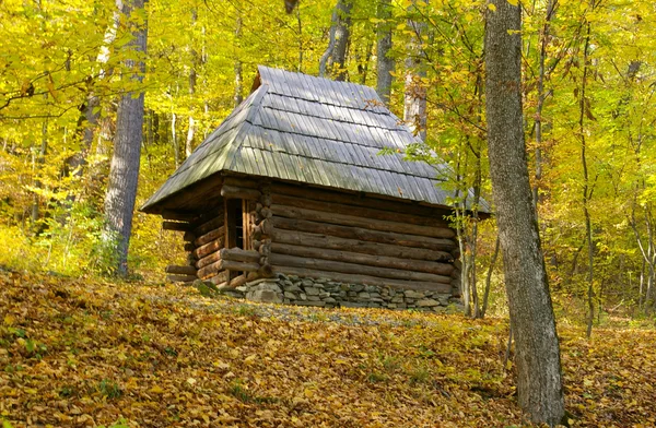 Old wooden house middle of forest — Stock Photo, Image