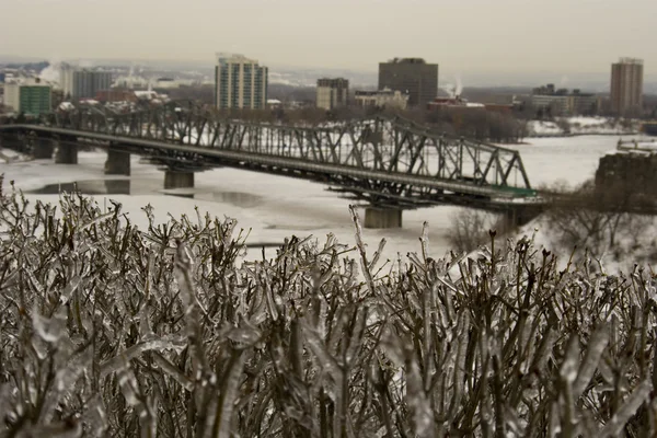 stock image Frozen ice cityscape winter ottawa