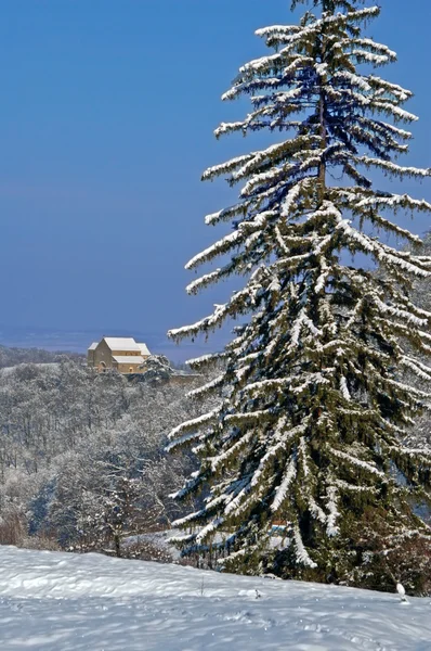 Winterlandschaft mit Schnee — Stockfoto