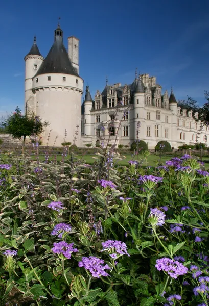 Kasteel van Chenonceau in Frankrijk Pays de la Loire — Stockfoto