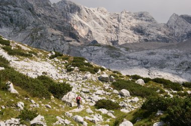 kireçtaşı dağ Avusturya Alplerinde