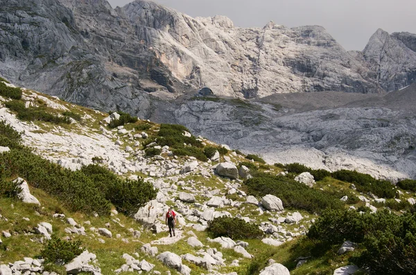 Kalkstein in den österreichischen Alpen — Stockfoto