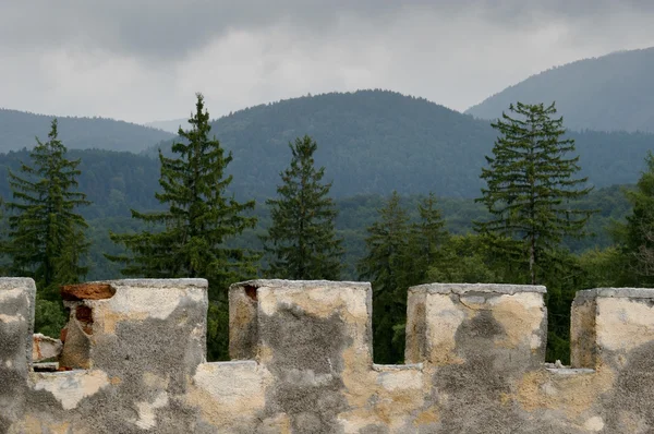 Orman kale savunma duvarının — Stok fotoğraf