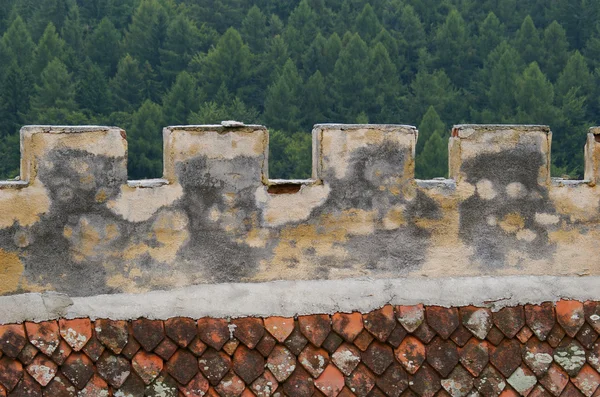 Defence wall in forest castle — Stock Photo, Image