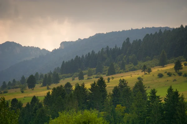 Mountain meadow with spectacular lightin — Stock Photo, Image