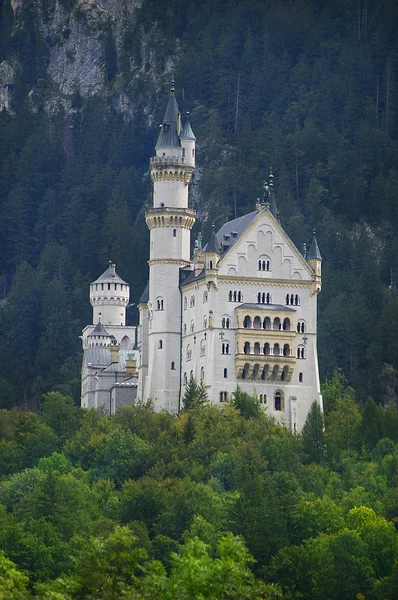Castelo neuschwanstein na montanha florestal — Fotografia de Stock