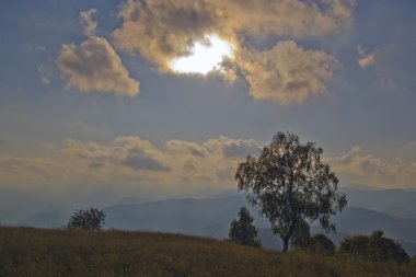 sonbahar dağ mera üzerinde